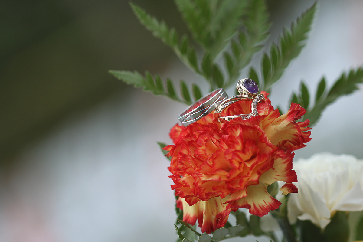 Kenya Wedding Photographer Wedding Rings