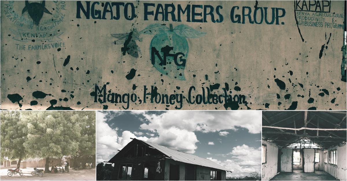 Travel Documentary Photography Kenya :: Agricultural Top Stories